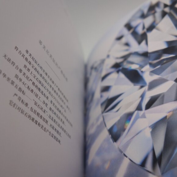 Tiffany & Co. This Is A Tiffany Ring Book (Chinese) - Picture 15 of 16